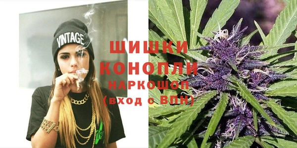 PSILOCYBIN Ростов