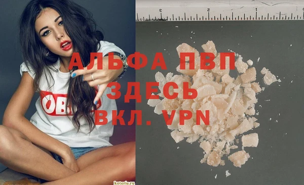 молекула духа Ахтубинск