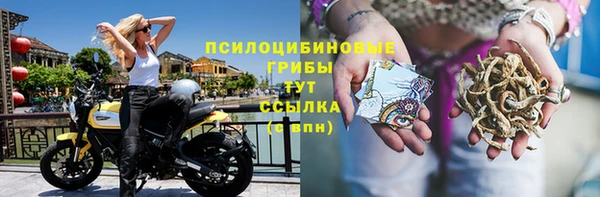 PSILOCYBIN Ростов