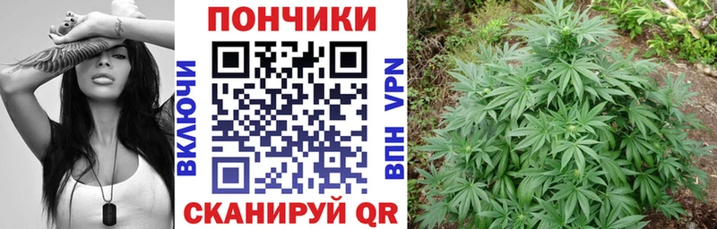 Бошки Шишки ГИДРОПОН  сколько стоит  Верхоянск 
